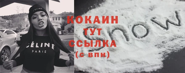 ГАЛЛЮЦИНОГЕННЫЕ ГРИБЫ Гусь-Хрустальный