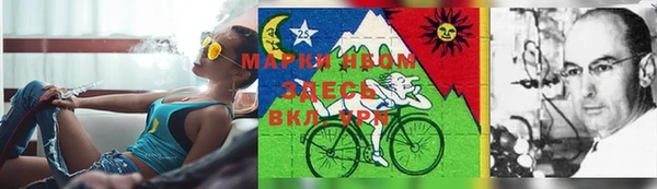 ешки Няндома