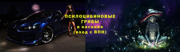 spice Новозыбков