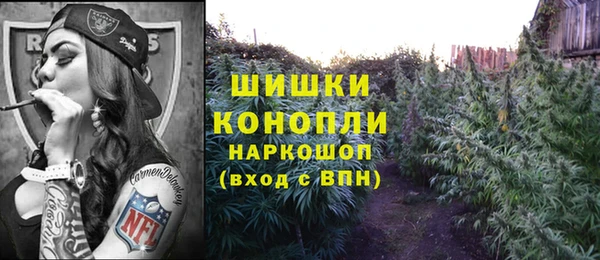 spice Новозыбков