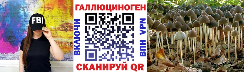 Псилоцибиновые грибы прущие грибы  Печоры 
